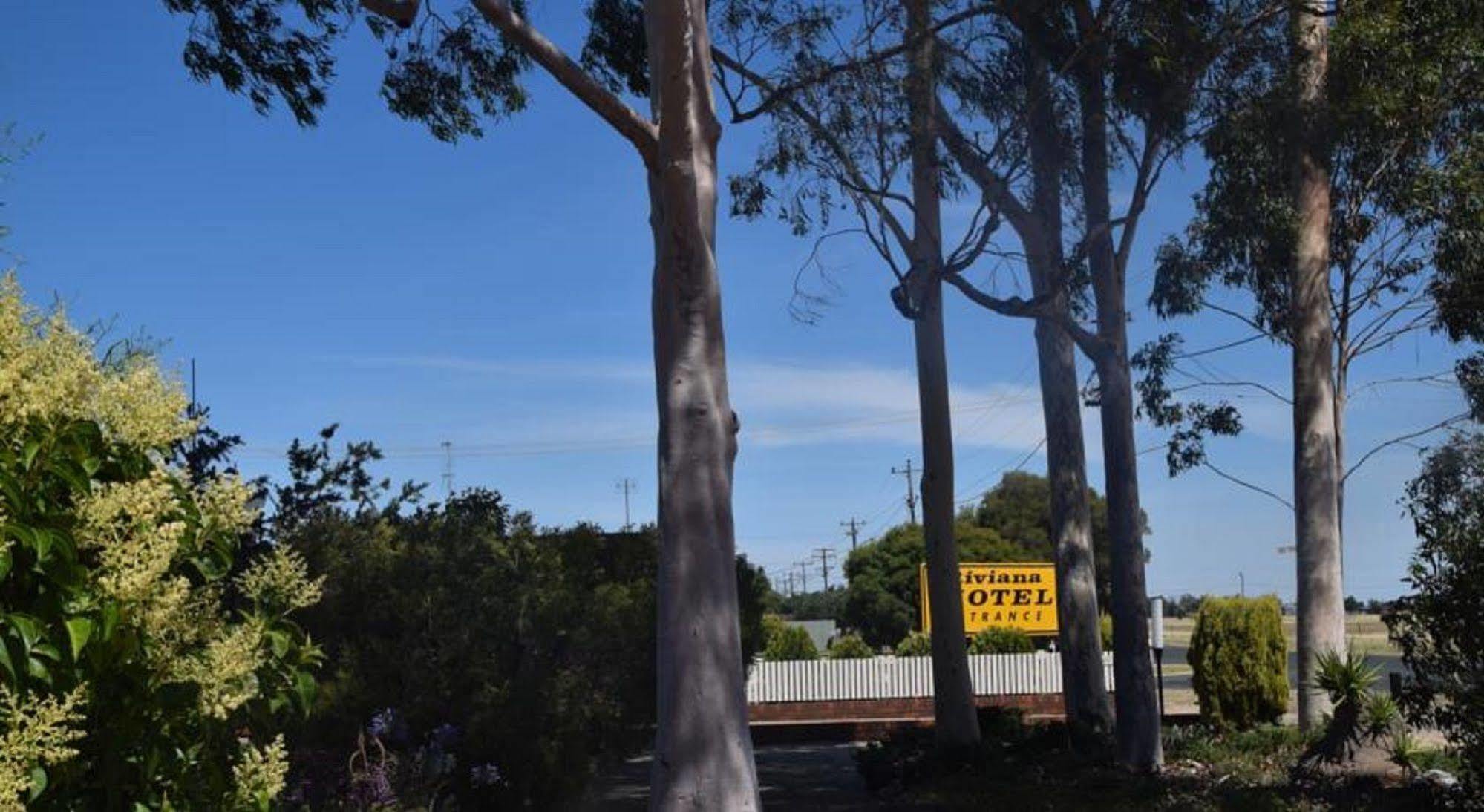 Riviana Motel Deniliquin Exterior photo